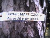 20051115_maffiozok.jpg