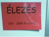 20060131_elezes.jpg