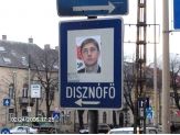 20060325_disznofo.jpg
