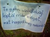 20070326_viragtolvaj.jpg