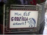 20070830_godzilla.jpg