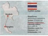20080329_thaifold.jpg
