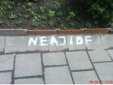 20080709_neajide.jpg