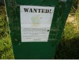 20080712_wanted.jpg