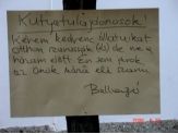 20080804_kutyatulajdonosok.jpg