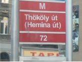 20080930_hemina.jpg